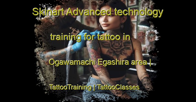 Skinart Advanced technology training for tattoo in Ogawamachi Egashira area | TattooTraining | TattooClasses | SkinartTraining-Japan
